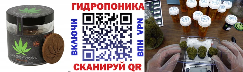 Cannafood конопля  ОМГ ОМГ зеркало  Берёзовка  дарнет шоп 