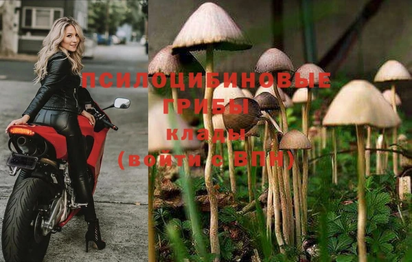 дмт Абинск